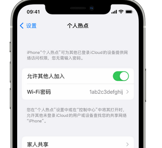 周宁apple服务站点分享iPhone上个人热点丢失了怎么办 