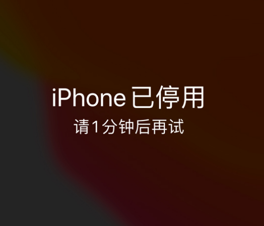 周宁苹果手机维修分享:iPhone 显示“不可用”或“已停用”怎么办？还能保留数据吗？ 