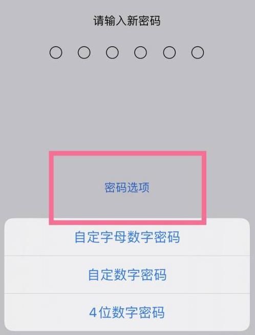 周宁苹果14维修分享iPhone 14plus设置密码的方法 