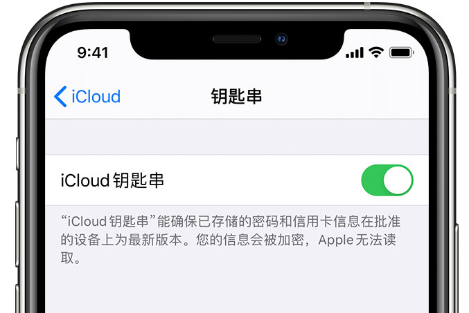 周宁苹果手机维修分享在 iPhone 上开启 iCloud 钥匙串之后会储存哪些信息 