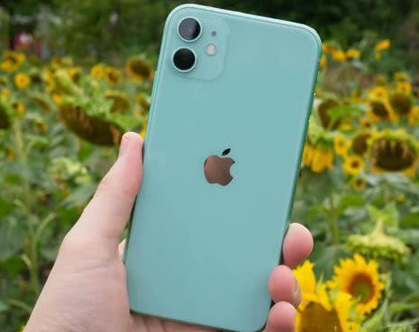 周宁苹果维修点分享iPhone 11锁屏密码认知与使用科普 
